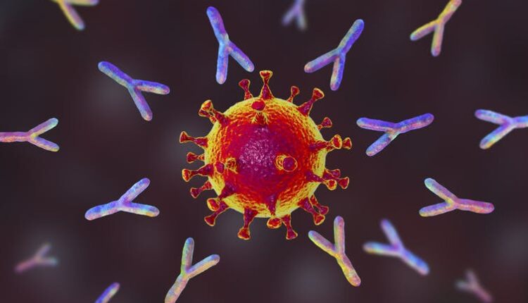 senate covid hearing 052623