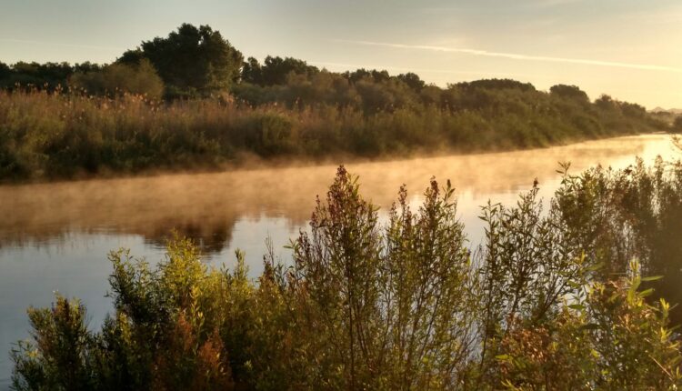 Fed cash for Yuma East Wetlands preservation applauded by Fort Yuma Quechan Tribe