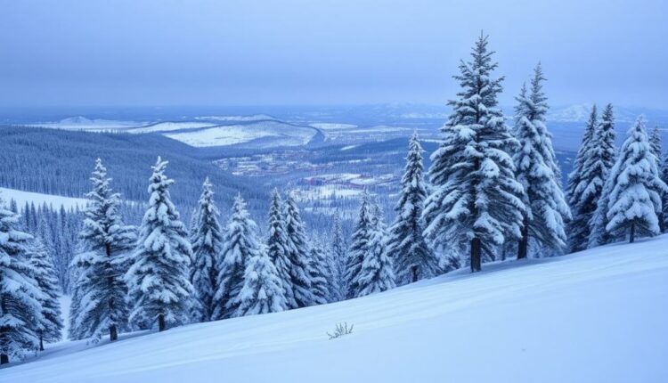flagstaff s first season snowfall